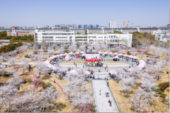 “樱”你而美 上海对外经贸大学第三届樱花节揭